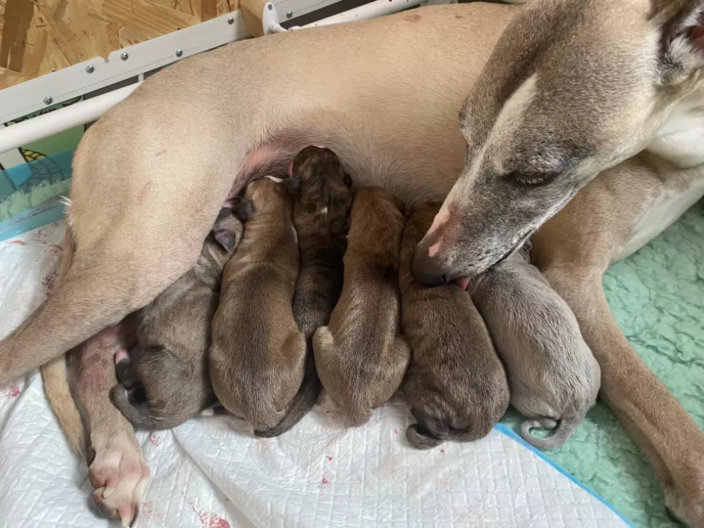 Les bébés sont nés le 17/03/2022